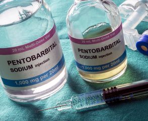 pentobarbital sodium injection