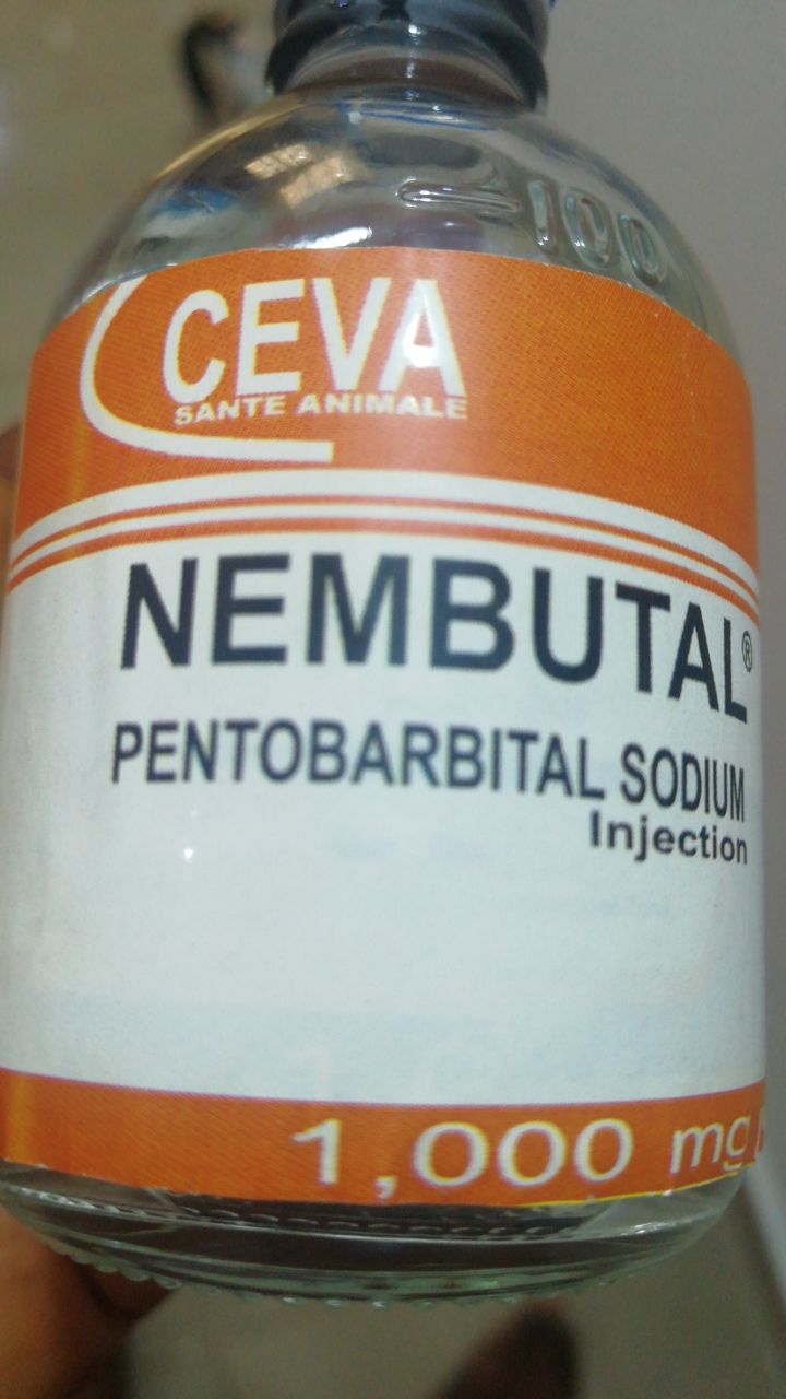 buy nembutal online